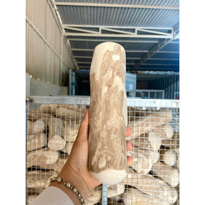 Jouet à mâcher pour chien en bois de café écologique Eco2go Vietnam - Durable et longue durée de vie - Favorise la santé dentaire - Product Image 1