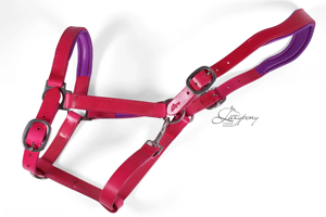 Qualité Supérieure - Halte de Cheval en Cuir Polo - Combinaison Unique - Cuir Marron Châtain avec Couture Fil Rose et Bordeaux - Product Image 2
