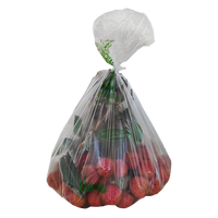 Bolsas de Plástico con Cierre Zip de Alta Calidad, Biodegradables y Reciclables, HDPE LDPE LLDPE, Impresión por Grabado, Tamaño y Color Personalizables, para Papas Fritas