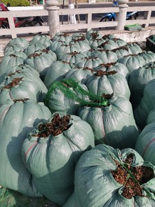 สาหร่าย Sargassum แห้งเวียดนามและผงสาหร่ายสำหรับอาหารสัตว์ในราคาที่เหมาะสมลิมา - Product Image 3