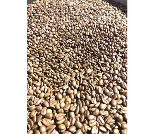 เมล็ดกาแฟอาราบิก้า DHPOne ออร์แกนิค สีเขียว คุณสมบัติ เมล็ดกาแฟดิบจากเวียดนาม/ บริการ ODM/OEM - Product Image 3