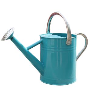 Arrosoir en métal à long bec pour jardin, avec poignée confortable et système de débit d'eau fluide - Product Image 1