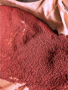 Graines d'annatto en vrac (Bixa <span class=keywords><strong>Orellana</strong></span>) pour la transformation culinaire, la coloration alimentaire et l'utilisation comme ingrédient d'assaisonnement - Product Image 6