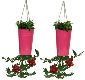 Support de plantes moderne en métal avec trois étagères circulaires pour plantes vertes d'intérieur, design minimaliste, finition thermolaquée - Product Image 4