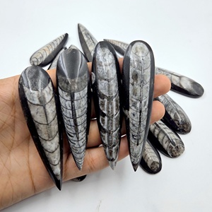 Fossile d'Orthocéras Naturel en Forme de Poire, Cabochon, Pierre Libre, Vente en Gros de Gemmes, Fossile d'Orthocéras Noir Naturel, Prix de Gros - Product Image 2