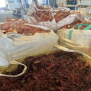 Bobine de bande en laiton de haute qualité C2740 C2741 cuivre couleur orange fil caractéristique matériau origine Type dessin certificat forme taille - Product Image 3