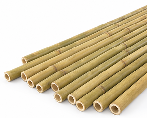 Eco2go Vietnam Tubes de nidification écologiques et respirants pour animaux, en tiges de roseau naturel pur, forme de trous d'arbre, durables, pour petits insectes et abeilles - Product Image 1