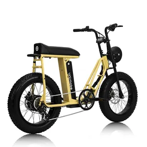fatbike fat tire ebike Unimoke SW color yellow of Urban Drivestyle daily transportation chormoly frame motorized bike