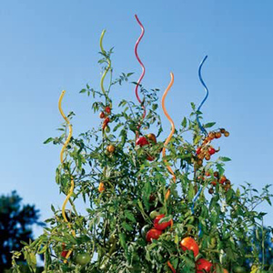 Premium Metal Spiral Plant <b>Support</b> Stake <b>Flower</b> Stem Plant Holder for Indoor Outdoor Garden Use - Product Image 6