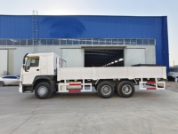 Camion léger HOWO Sinotruk 4x2 20 tonnes 371 CV Cabine simple 6 roues Diesel LHD RHD avec bâches rabattables d'occasion