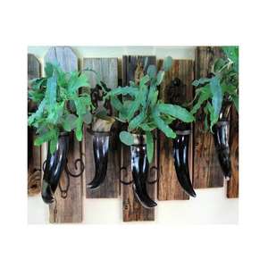 Juego de Jarrones de Cuerno de Búfalo Antiguos para Decoración de Mesa Rústica Premium, Diseño de Cuerno Natural Hecho a Mano - Product Image 2