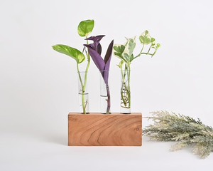 Porte-vase minimaliste en bois avec trois tubes en verre pour la décoration de table - Product Image 6