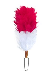 IMADE SPORTS Hackle de plumes de régiment de 10-12 pouces pour bonnet écossais - Matériau en plumes d'autruche - Product Image 4