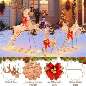 Decorazione Natalizia a 3 Pezzi con Renne Illuminate, Luci Festive per le Feste - Product Image 2