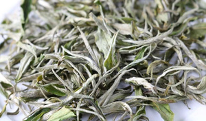 TÉ ORGÁNICO SHAN SNOW A PRECIO MÁS BARATO DE VIETNAM - Product Image 5