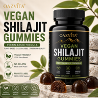 Oazvita Vegan Shilajit Antioxidant Gummies Berbasis Pektin Bebas Gelatin Suplemen Dewasa OEM