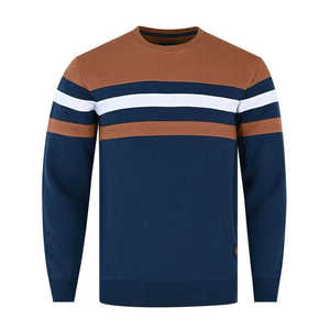 Sweat-shirt pour homme personnalisé OEM ODM de haute qualité, prix d'usine, doux, confortable, respirant, 300g, vêtements décontractés d'hiver, fabricant en gros - Product Image 1