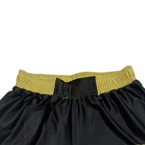 Shorts de Muay Thai respirants et légers pour la boxe, le kickboxing et l'entraînement MMA – Tenue d'entraînement en satin durable - Product Image 2