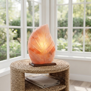 Lámpara Premium con Forma de Hoja de Sal, Adorno Mineral Orgánico para Espacios de Hostelería Boutique y Decoración de Habitaciones Elegantes - Product Image 6