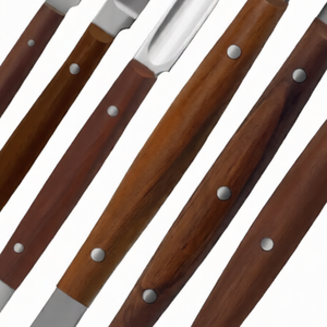 Juego de 6 Piezas de Instrumentos de Acero Inoxidable para Esculpir Cera, para Estudiantes de Odontología, Laboratorio, Fahnenstock, Lessmann, Con Scodelina - Product Image 6