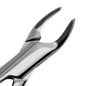 Forceps d'extraction dentaire pédiatrique ergonomiques en acier inoxydable universels # Outil professionnel pour dents inférieures 151 12S - Product Image 4