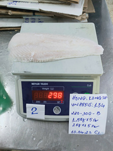Filete de Panga Blanco Congelado IQF de Grado Exportación VH Food, Personalizable con Glaseado 0-20%, Bajo en Carbohidratos, 10-12cm, Etiqueta Privada Personalizada - Product Image 5