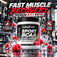 Poudre Énergisante BCAA Zéro Sucre en Gros, 30 Doses, Végétalienne, Nutrition Sportive, Boisson de Récupération Musculaire, Matrice d'Électrolytes en Poudre