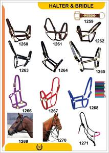 Euro Cavall - Juego de Correa para Caballo con Cinta de PP Ecológica de 25 mm de Ancho, con Ojal Metálico y Almohadilla de Felpa, Estilo Western - Product Image 5