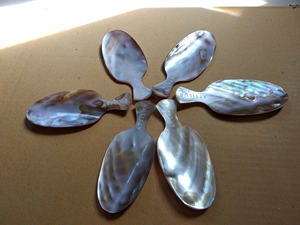 Cucharas Elegantes de Nácar Vietnamita, Ecológicas, para Cenas Elegantes, Fiestas, Juegos de Regalo de Lujo, Venta al por Mayor, Precios Competitivos - Product Image 3