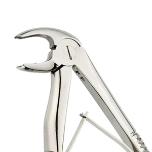 Adult Tooth Extractor Forceps Manual Stainless Steel High-quality Class Ii Ce Certified Dental Instruments For Professional Use - Product Image 3