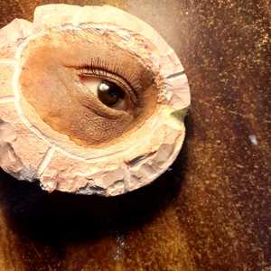 Exportadores de Prótesis de Silicona de Alta Calidad de la India como, por ejemplo, los ojos humanos - Product Image 2