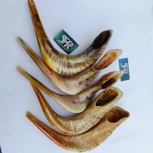 Cuerno Ceremonial de Carnero Shofar, Pulido a Mano, Sonido Natural, para Reuniones Religiosas, Tradiciones Sagradas y Festivales - Product Image 1