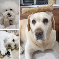 BEST SELLER Bâtonnet à mâcher en bois de café écologique pour chien, bâtonnet en bois naturel de Java pour le nettoyage des dents, jouet pour animaux de compagnie longue durée, export Vietnam