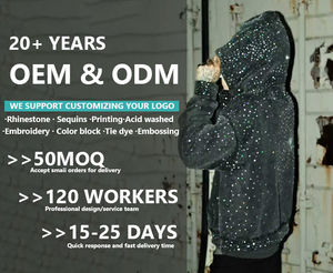 WSL Hiver Streetwear Personnalisé Vintage Effet Usé Déchiré Coupe Boxy Courte Imprimé Broderie Patch Délavé par le Soleil Fermeture Éclair Strass 100% Coton - Product Image 6