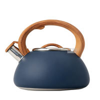Bouilloire à thé sifflante en acier inoxydable avec revêtement de couleur personnalisé, pour cuisinière, pour la maison et la cuisine
