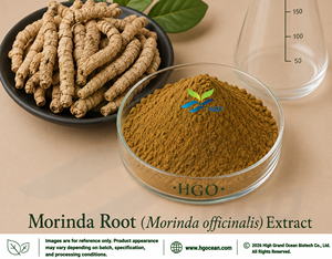 โรงงาน HGO จำหน่ายสารสกัดจากรากมอรินดา (Morinda officinalis) (เกรดอาหาร) อัตราส่วน 4:1 5:1 10:1 20:1 100:1 200:1 โดยตรง - Product Image 1