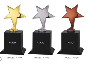 •Custom star trophy for company appreciation awards. - Product Image 1