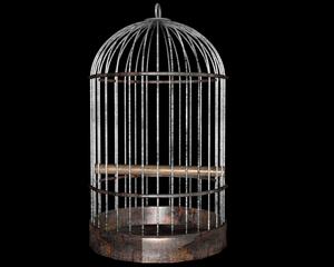 Cage à oiseaux en métal, grande cage pour oiseaux, cages de vol pour animaux de compagnie avec support à roulettes - Product Image 3