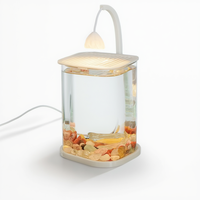 Mini aquarium de bureau en verre transparent avec lumière LED nocturne, alimenté par USB, pour la décoration de salon ou de bureau.