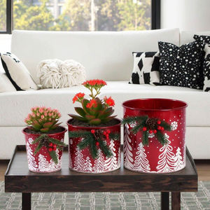 Macetas de Metal Personalizadas para Interiores y Exteriores, Macetas de Hierro para Jardín y Ventanas, Macetas y Jardineras de Calidad - Product Image 6
