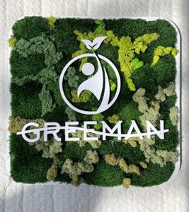 Custom Aluminum Frame Preserved Moss <b>Sign</b> with LED Lighting-Personalized Vertical Garden Company Logo Signage - Product Image 6