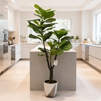 Arbre artificiel en ficus en plastique en gros à bas prix, pot de bonsaï, ficus lyriformis naturel, cadeau de pendaison de crémaillère, mariage, nouvel an, décoration de la maison