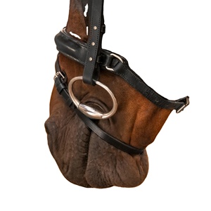 High Quality <b>Padded</b> Non-Slip Noseband for Riding <b>Smartly</b> Fitted Horse Leather French Bridle Black Rhinestone Rub International - Product Image 2