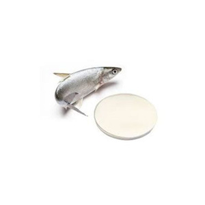 Marine sourced fish collagen peptides high quality bulk supply factory direct wholesale supply - Product Image 2