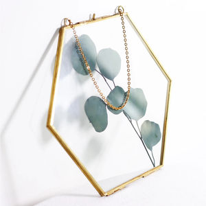 Cadre photo géométrique hexagonal en métal et verre, finition laiton de qualité supérieure, pour fleurs pressées et plantes séchées - Product Image 1