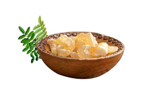 Extrait de Boswellia Serrata AKBA en poudre de qualité supérieure, ingrédient botanique naturel standardisé pour le bien-être et la nutrition - Product Image 2