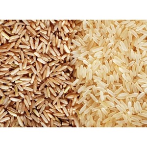 Riz Basmati Sella Biologique de Qualité en Gros / Riz Brun à Grains Courts 12% Brisures Riz Séché Riz Étuvé - Product Image 5