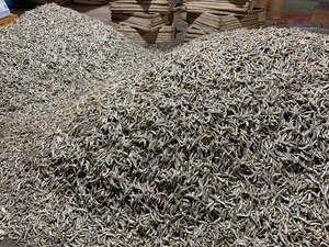 Anchoas enteras secas premium, secas al sol y al vapor, con bajo contenido de humedad, base de marisco natural para sopa, cocina asiática - Product Image 6