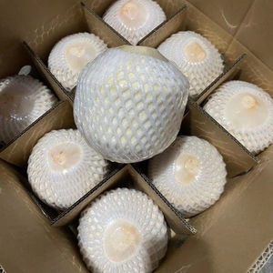 Noix de coco jeune et fraîche, riche en fibres, d'origine vietnamienne, idéale pour préparer des jus savoureux et des soupes végétales saines dans les cuisines familiales. - Product Image 1