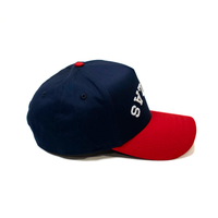 Gorras de Béisbol Retro de Alta Calidad, Bicolor, Bordadas con Diseño Invertido, para Hombre y Mujer, Personalizables, de 5 Paneles, Estilo Dad Hat, OEM